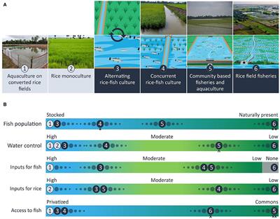 Maintaining Diversity of Integrated Rice and Fish Production Confers Adaptability of Food Systems to Global Change